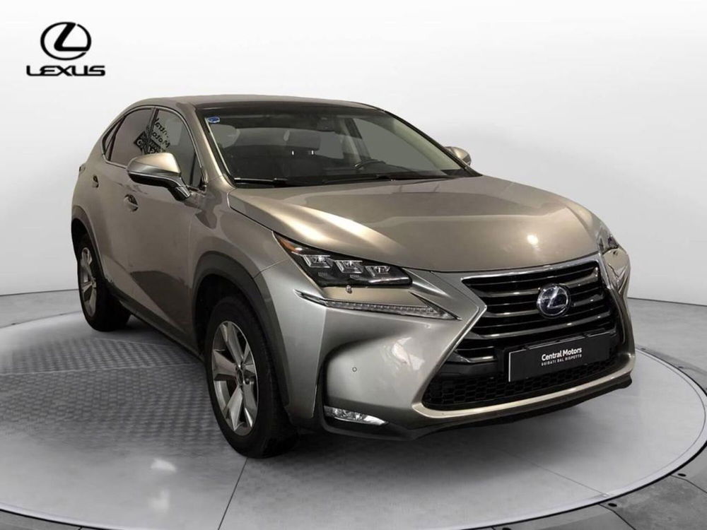 Lexus NX usata a Torino (3)