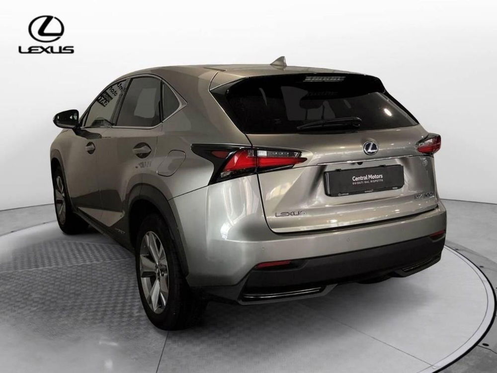 Lexus NX usata a Torino (5)