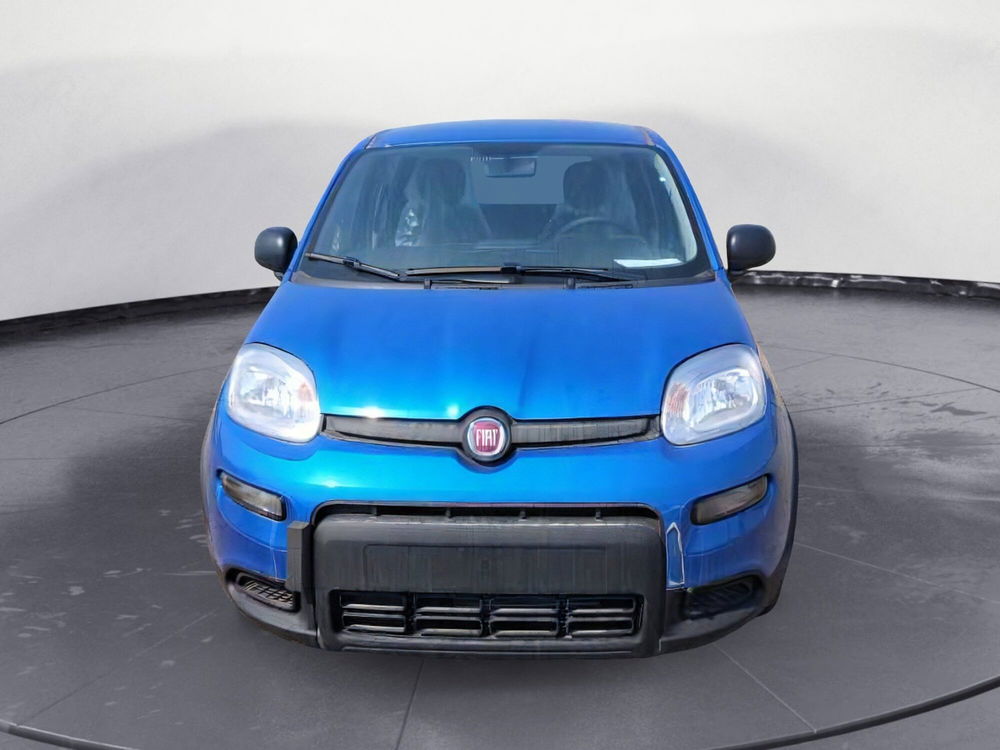 Fiat Panda Cross nuova a Lecce (2)