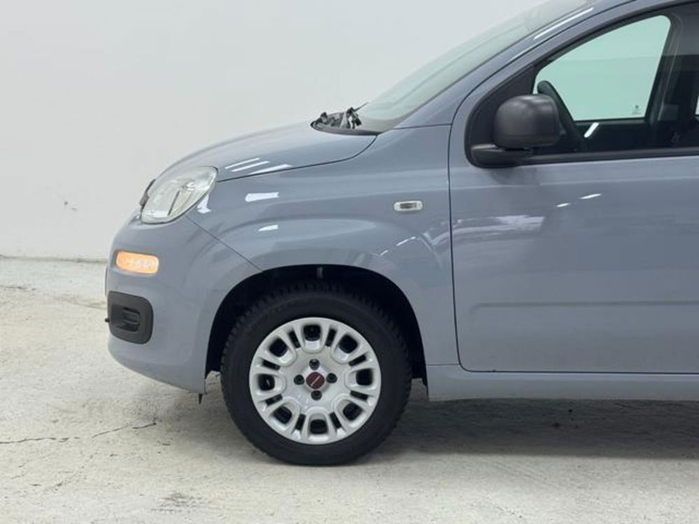 Fiat Panda usata a Como (9)