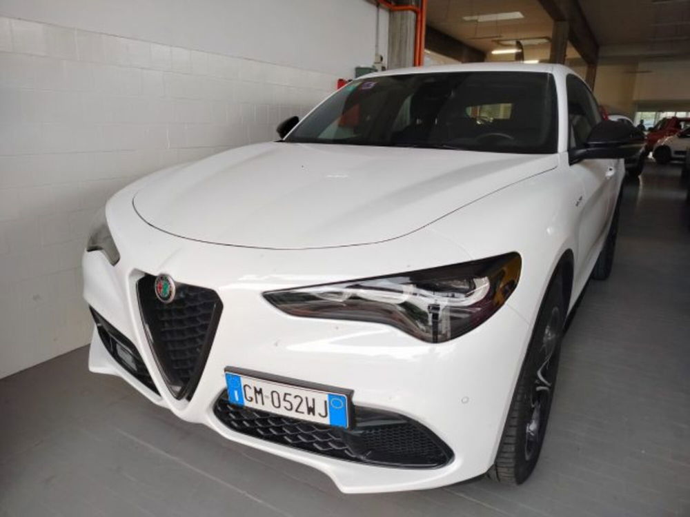 Alfa Romeo Stelvio usata a Forlì-Cesena (2)