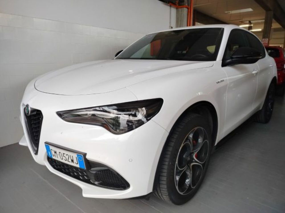 Alfa Romeo Stelvio usata a Forlì-Cesena (4)