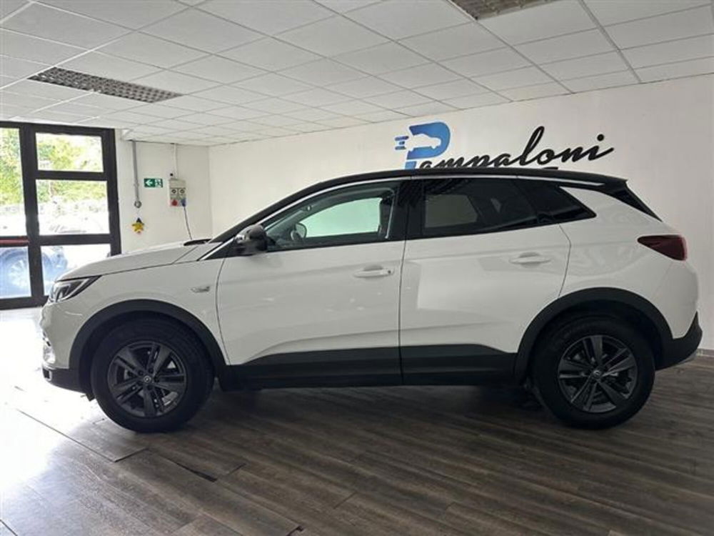 Opel Grandland X usata a Siena (3)