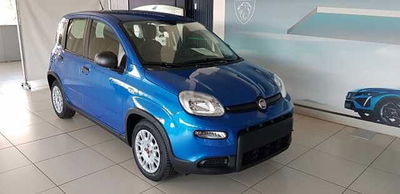 Fiat Panda 1.0 firefly hybrid s&amp;s 70cv 5p.ti nuova a Pordenone