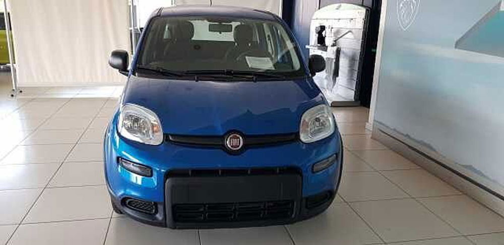 Fiat Panda nuova a Pordenone (2)