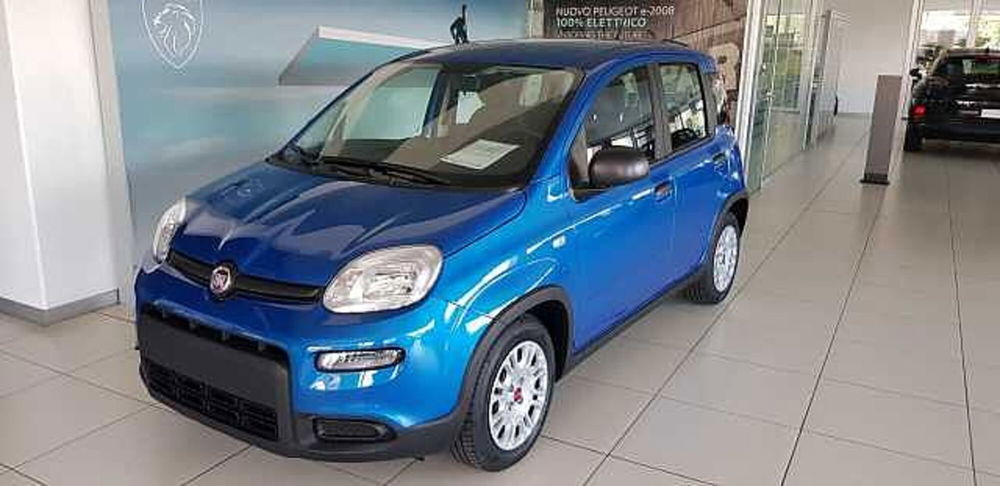 Fiat Panda nuova a Pordenone (3)