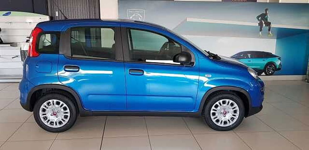 Fiat Panda nuova a Pordenone (8)