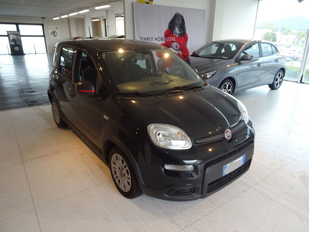 Fiat Panda Cross usata a Lucca (7)