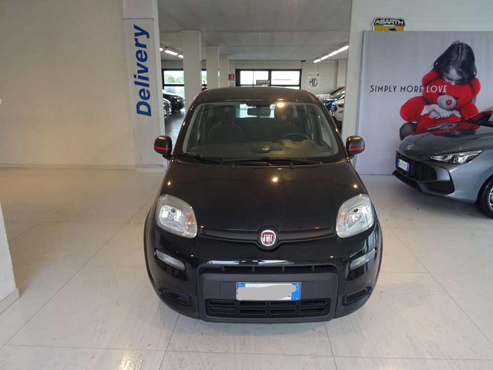 Fiat Panda Cross usata a Lucca (8)