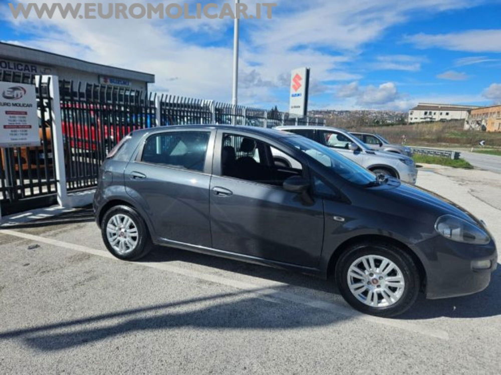 Fiat Punto Classic usata a Campobasso