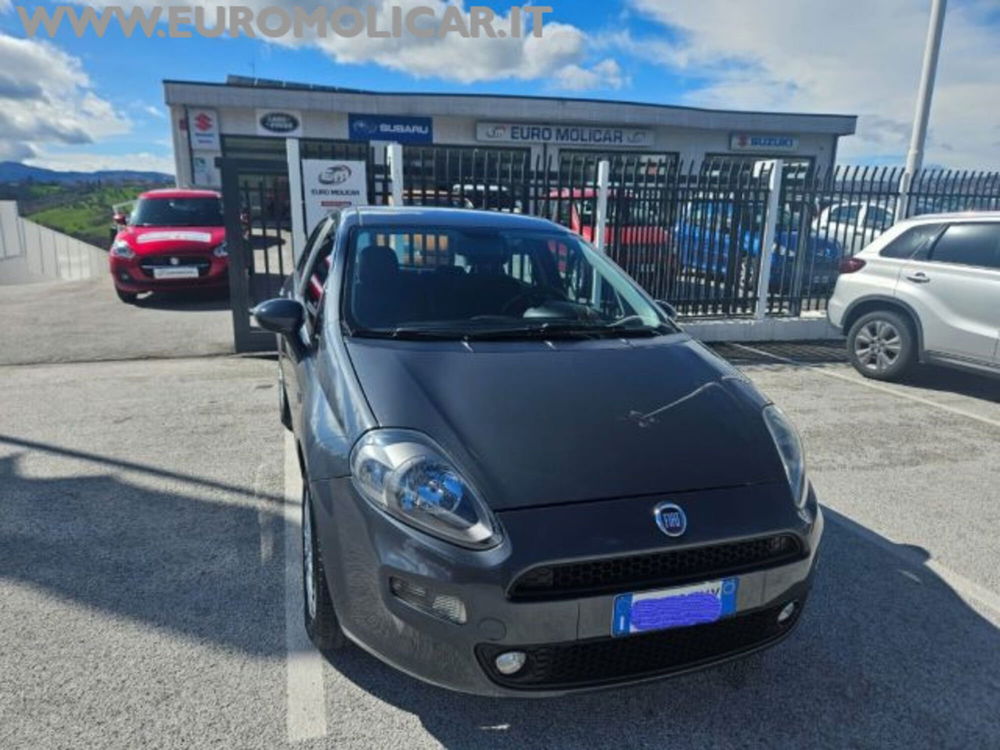 Fiat Punto Classic usata a Campobasso (10)