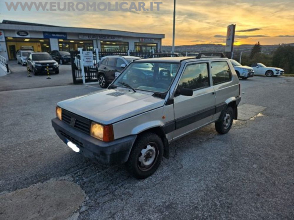 Fiat Panda usata a Campobasso (2)