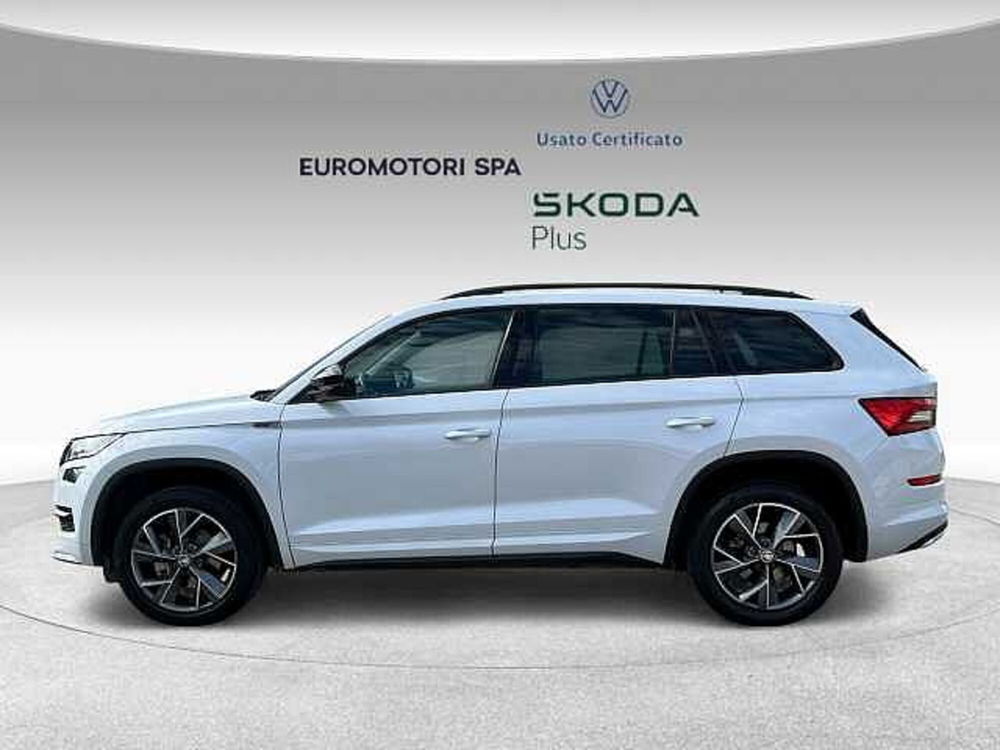 Skoda Kodiaq usata a Grosseto (2)