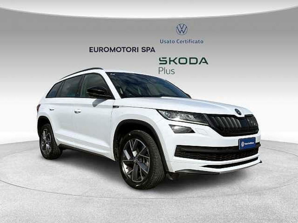 Skoda Kodiaq usata a Grosseto (6)