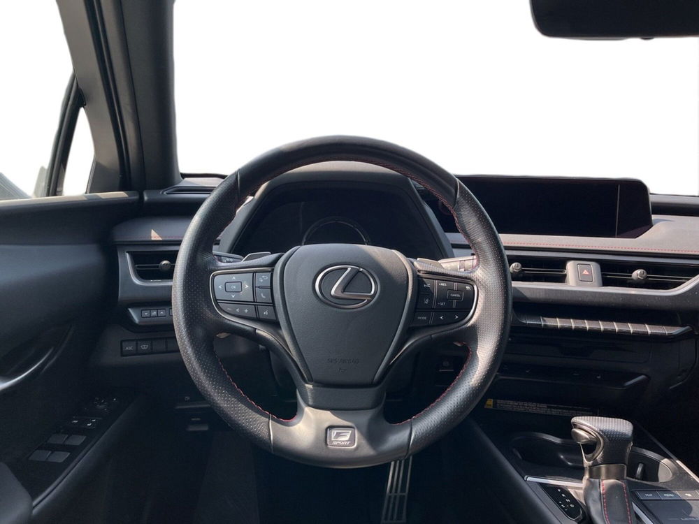 Lexus UX usata a Torino (11)