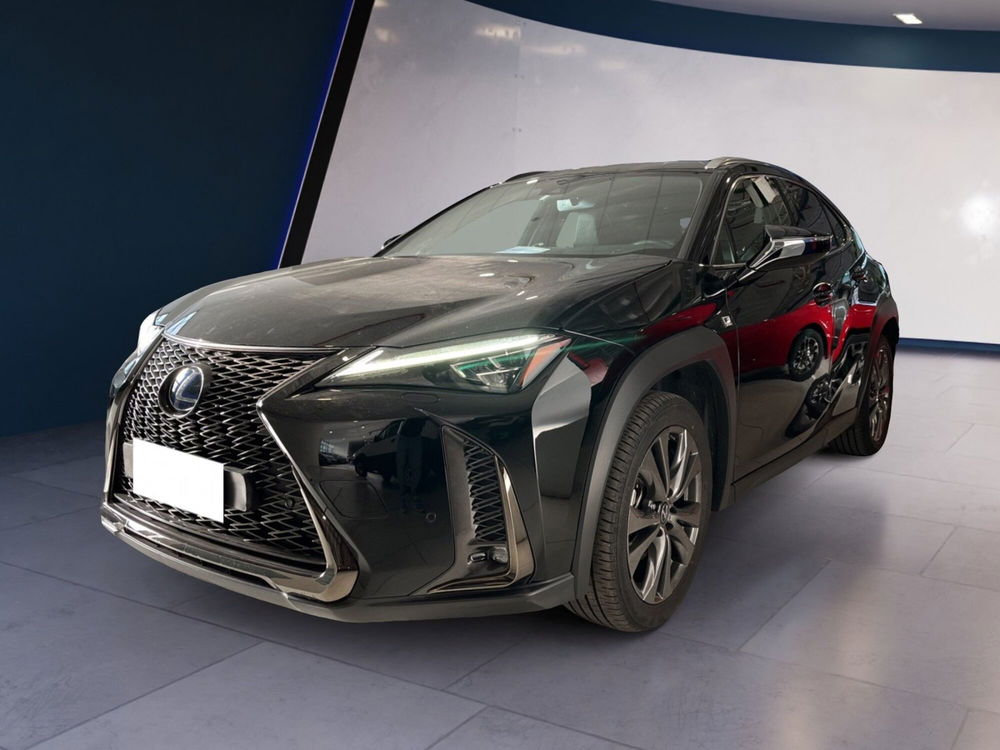 Lexus UX usata a Torino (3)