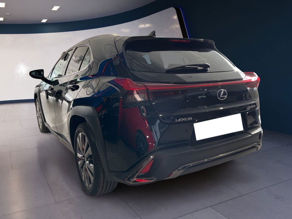 Lexus UX usata a Torino (4)