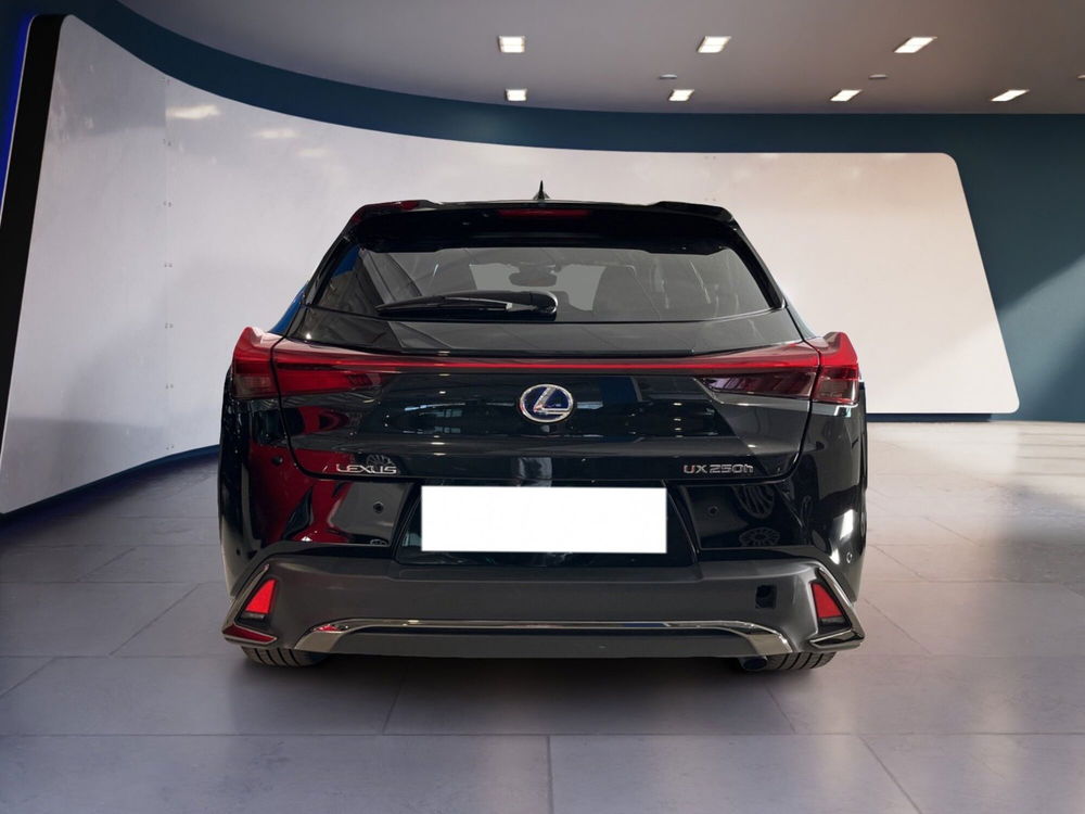 Lexus UX usata a Torino (5)