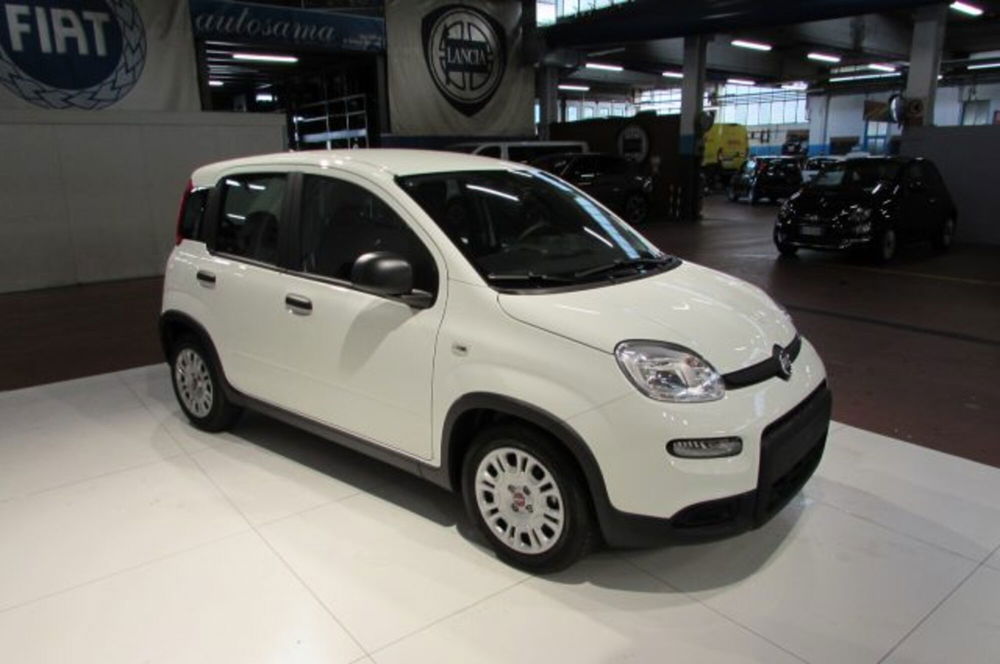 Fiat Panda nuova a Milano (2)