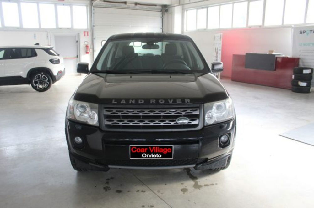 Land Rover Freelander usata a Terni (2)