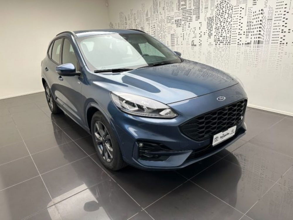 Ford Kuga usata a Cuneo (2)