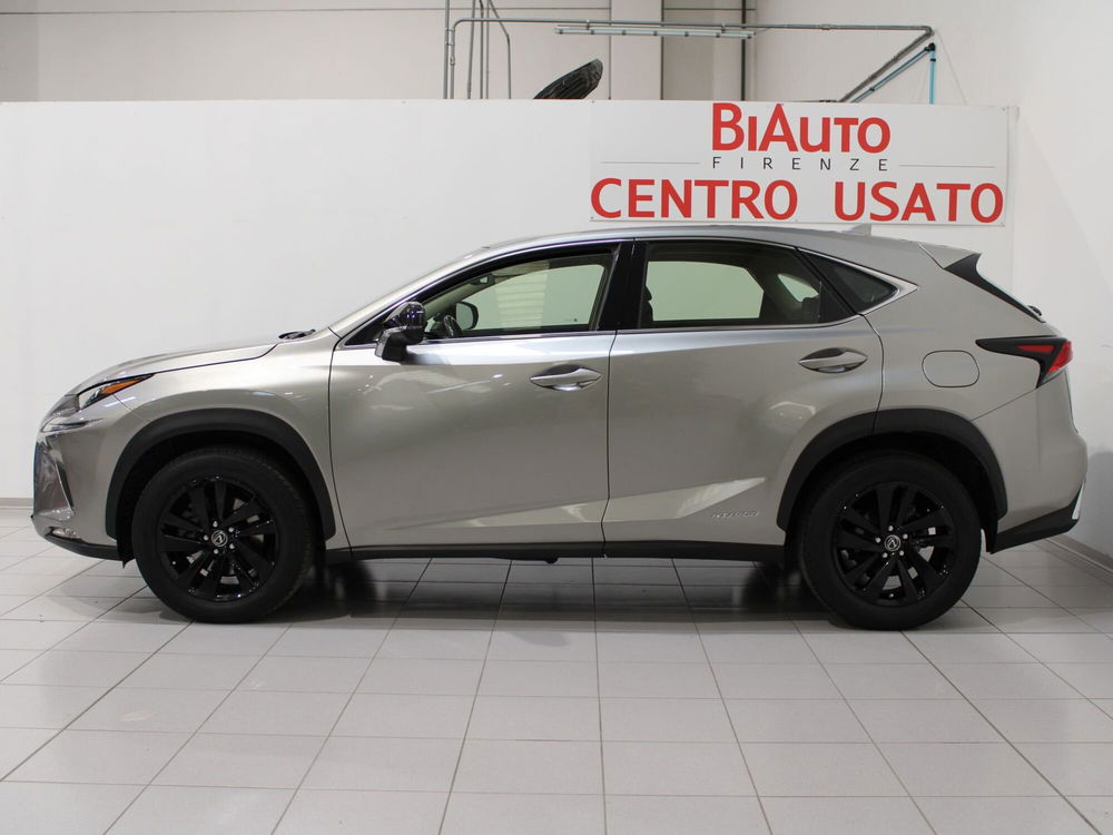 Lexus NX usata a Firenze (3)