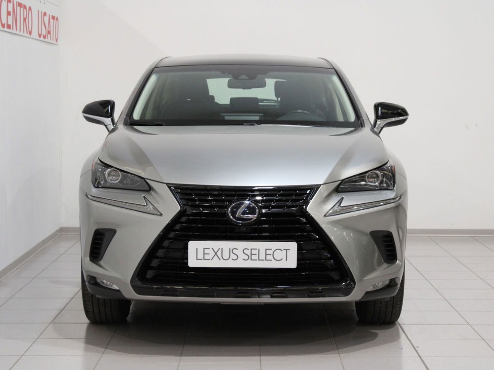 Lexus NX usata a Firenze (4)