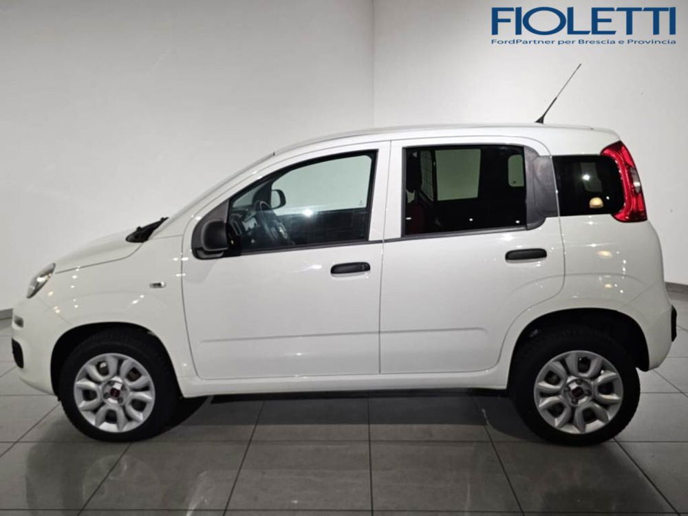 Fiat Panda usata a Brescia (4)