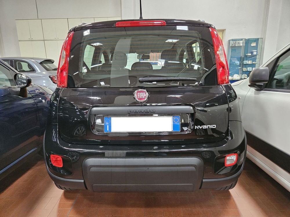 Fiat Panda usata a Lucca (3)