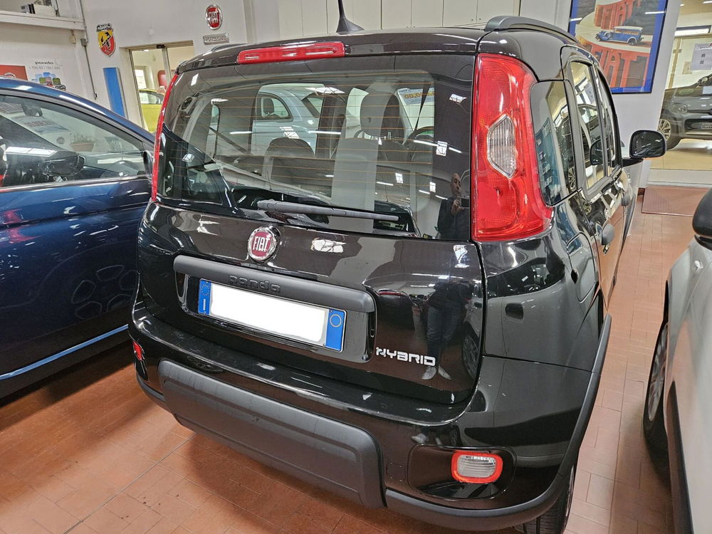 Fiat Panda usata a Lucca (4)