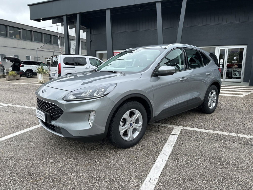 Ford Kuga usata a Vicenza