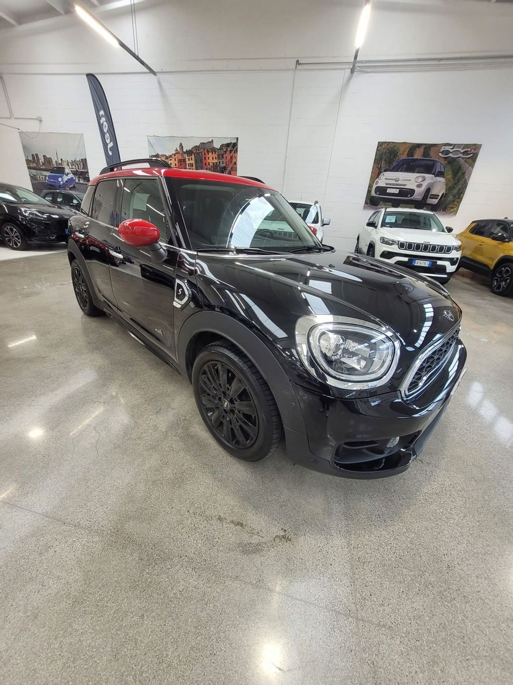 MINI Mini Countryman usata a Monza e Brianza (3)