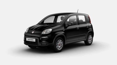 Fiat Panda 1.0 firefly hybrid s&amp;s 70cv 5p.ti nuova a Tavarnelle Val di Pesa