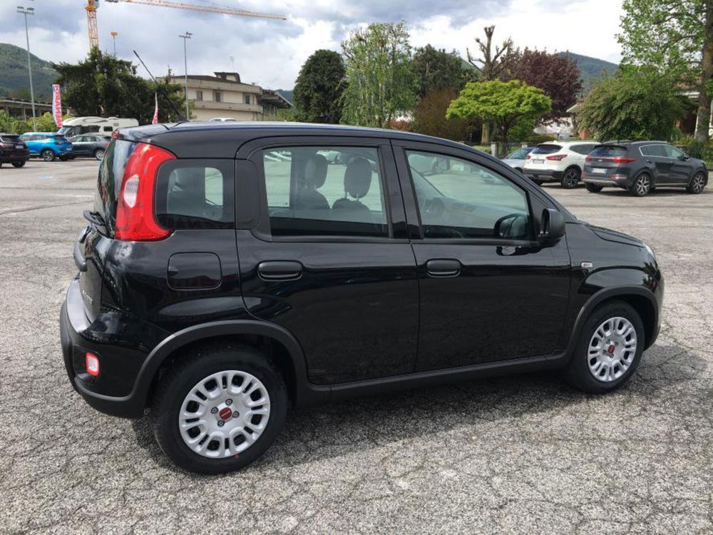 Fiat Panda Cross nuova a Cuneo (3)