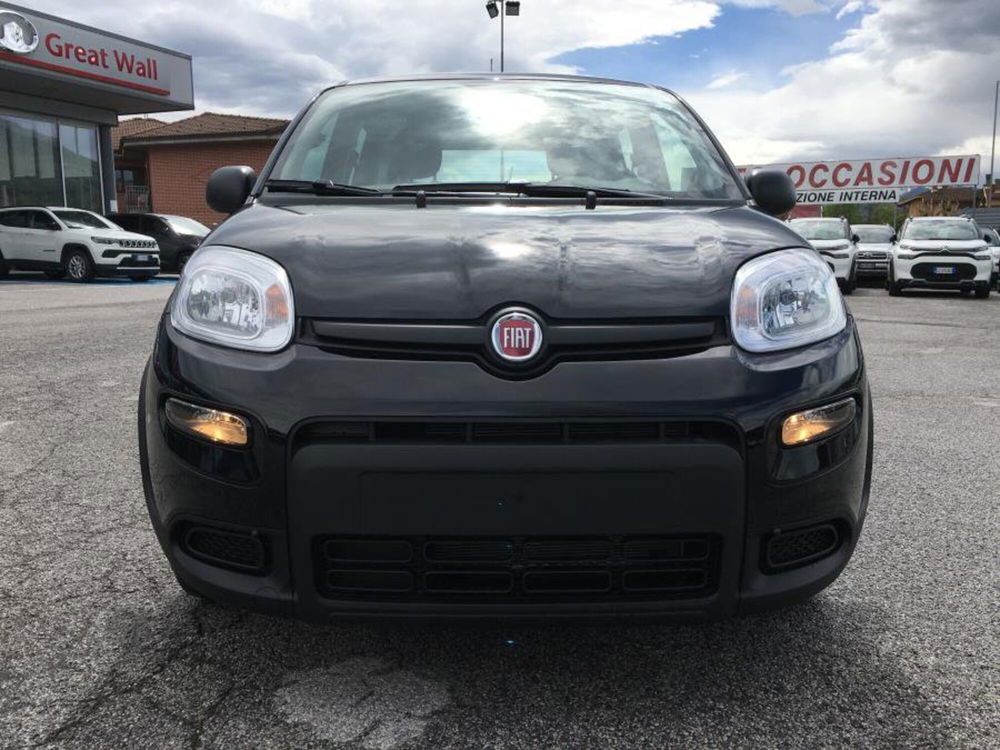 Fiat Panda Cross nuova a Cuneo (5)