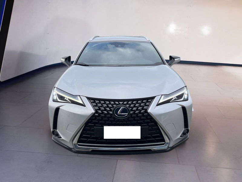 Lexus UX Hybrid 4WD Executive  del 2021 usata a Torino