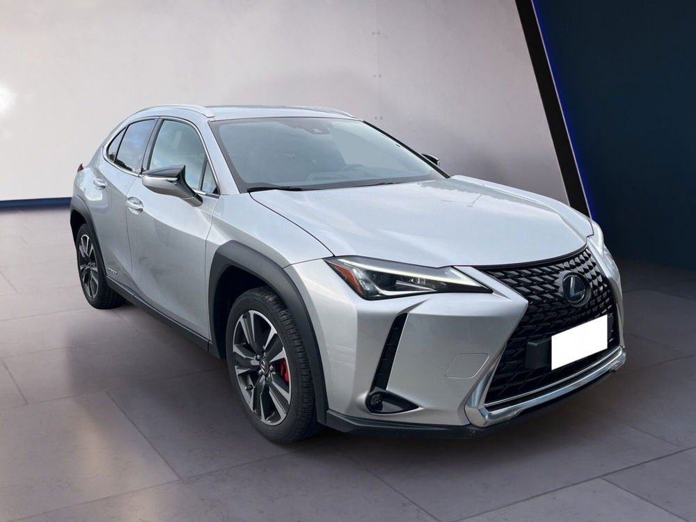 Lexus UX usata a Torino (2)