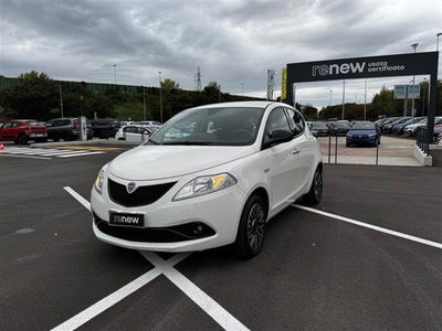 Lancia Ypsilon 1.2 69 CV 5 porte Platinum  del 2019 usata a Albignasego