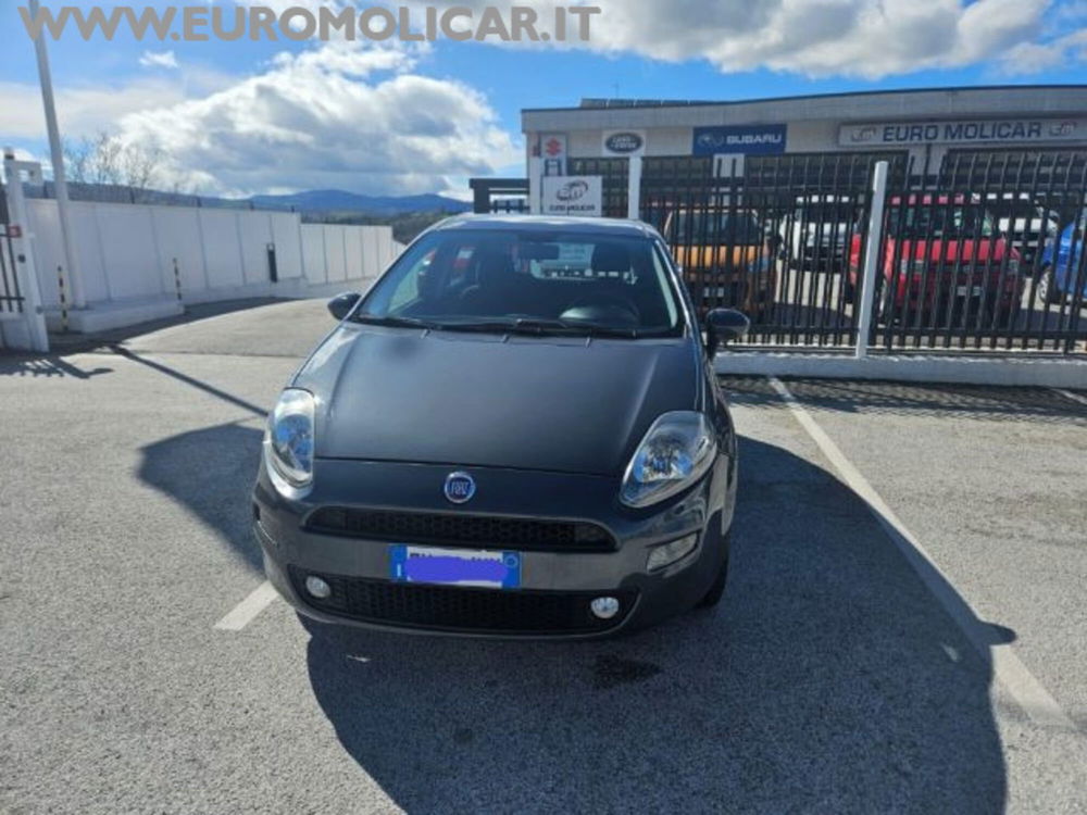 Fiat Punto Classic usata a Campobasso (3)