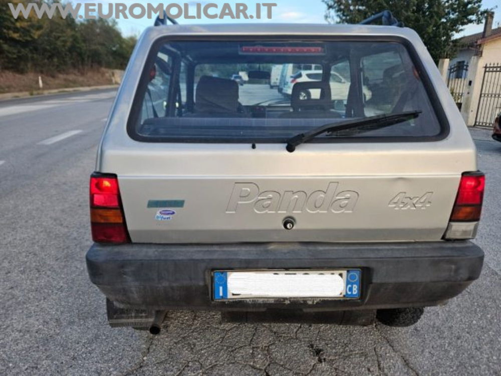 Fiat Panda usata a Campobasso (4)