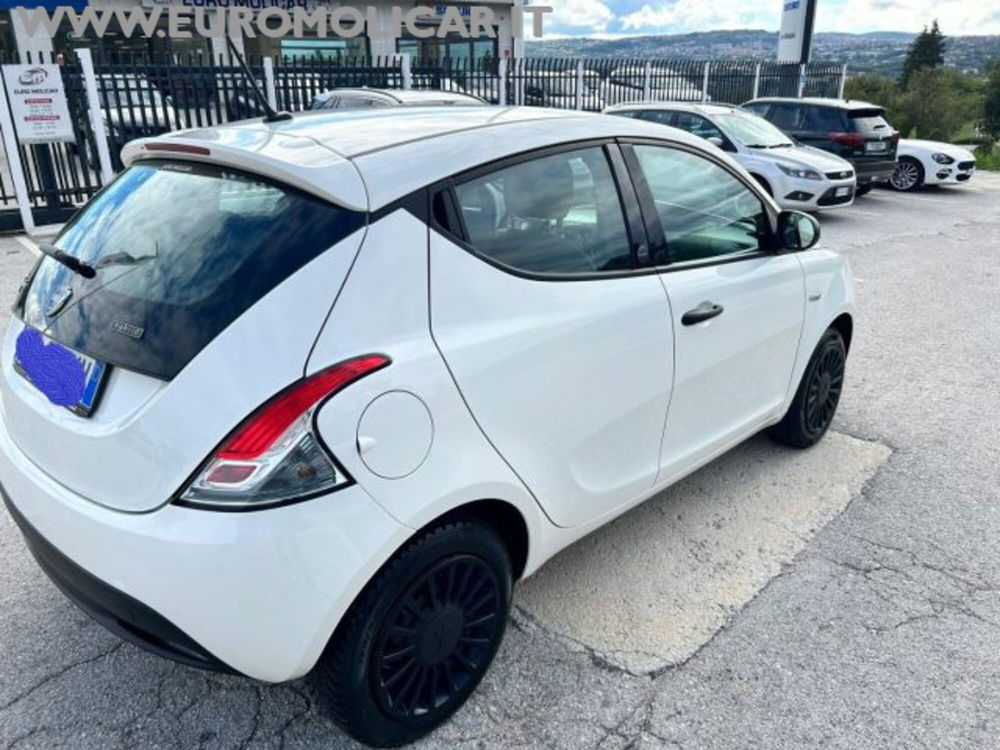 Lancia Ypsilon usata a Campobasso (9)