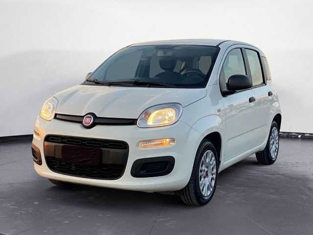 Fiat Panda usata a Potenza