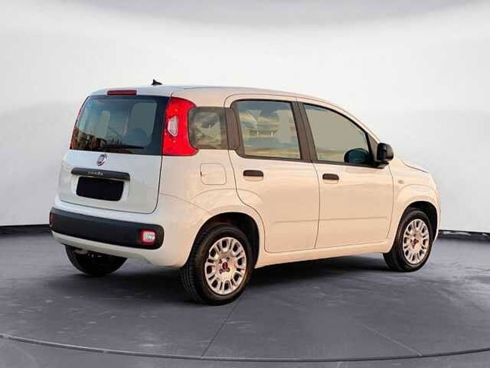 Fiat Panda usata a Potenza (18)