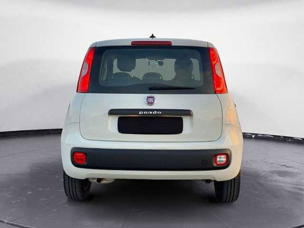 Fiat Panda usata a Potenza (19)