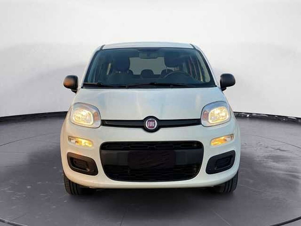 Fiat Panda usata a Potenza (2)