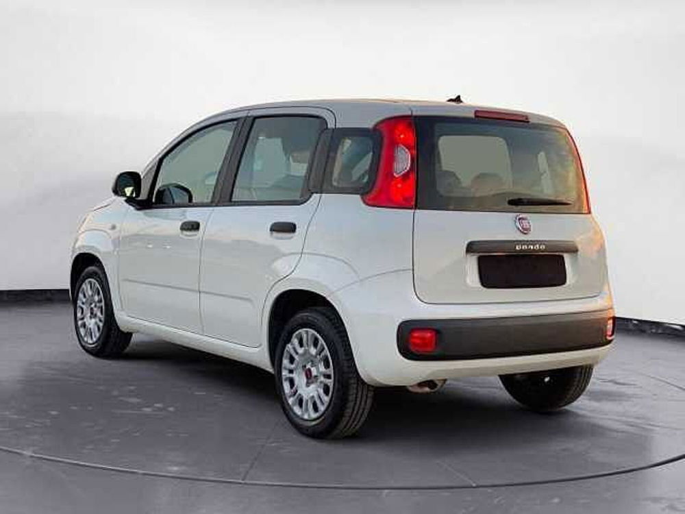 Fiat Panda usata a Potenza (20)