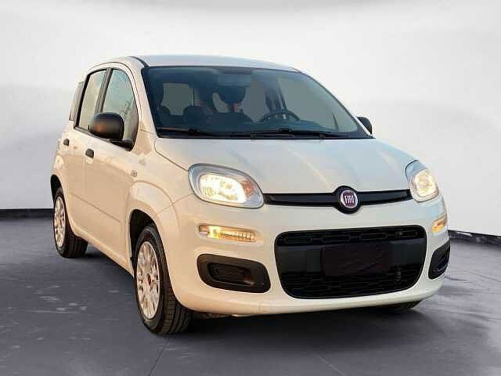 Fiat Panda usata a Potenza (3)