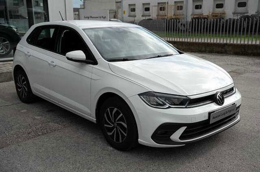 Volkswagen Polo usata a Rovigo