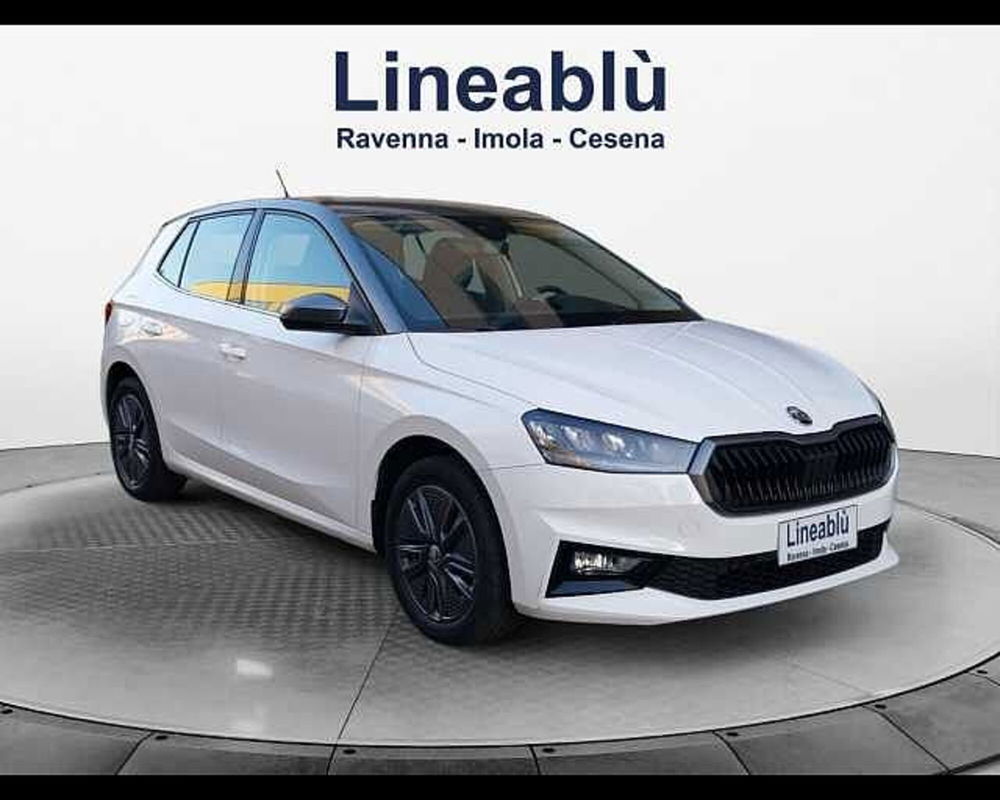 Skoda Fabia usata a Ravenna (7)