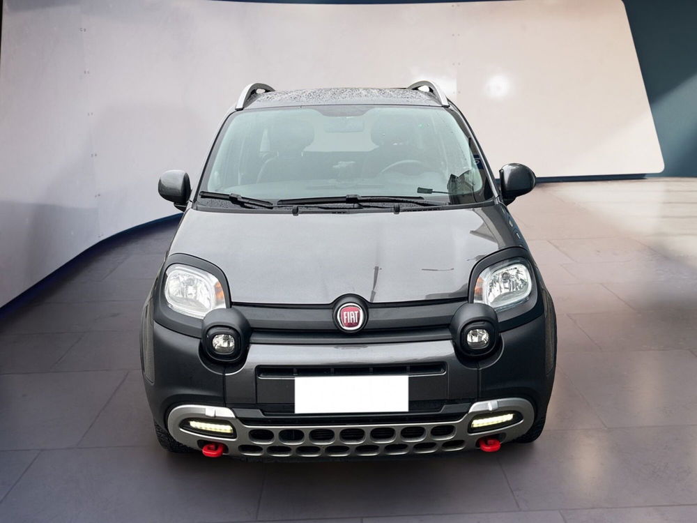 Fiat Panda usata a Torino